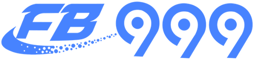 bdfb999.net Logo